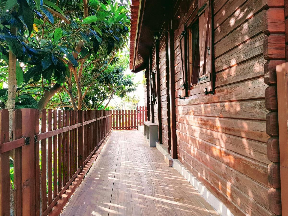 Cabana Los Palmeros, Vista Al Mar Y La Montana Alojera Ngoại thất bức ảnh