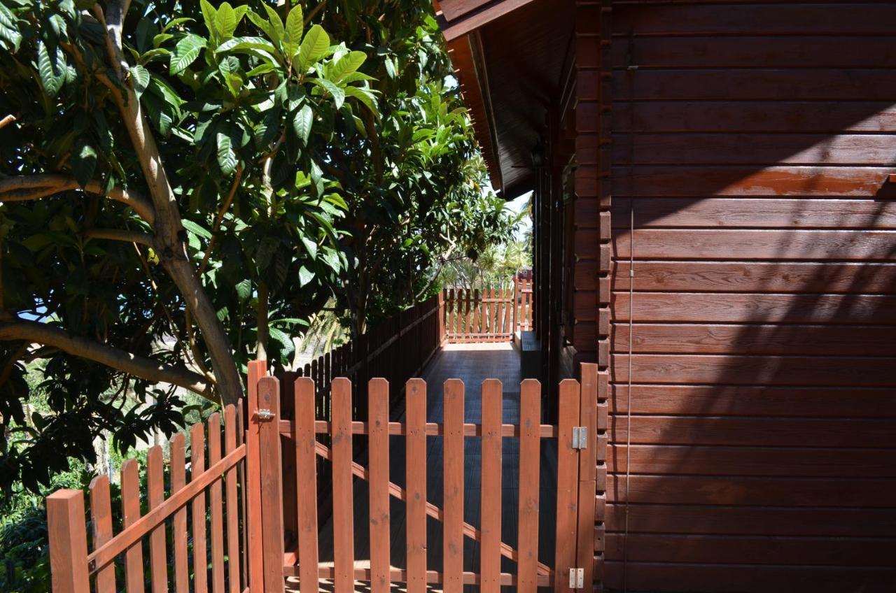Cabana Los Palmeros, Vista Al Mar Y La Montana Alojera Ngoại thất bức ảnh