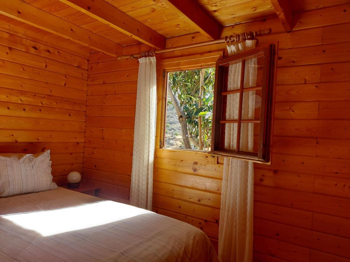 Cabana Los Palmeros, Vista Al Mar Y La Montana Alojera Ngoại thất bức ảnh