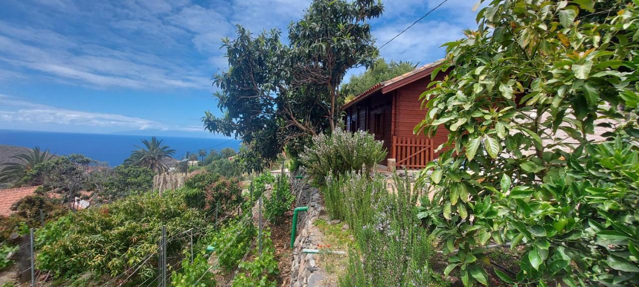 Cabana Los Palmeros, Vista Al Mar Y La Montana Alojera Ngoại thất bức ảnh